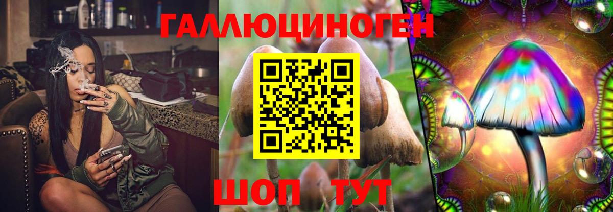 Галлюциногенные грибы Psilocybine cubensis Златоуст